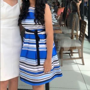 Ellen Tracy Blue and White striped dress